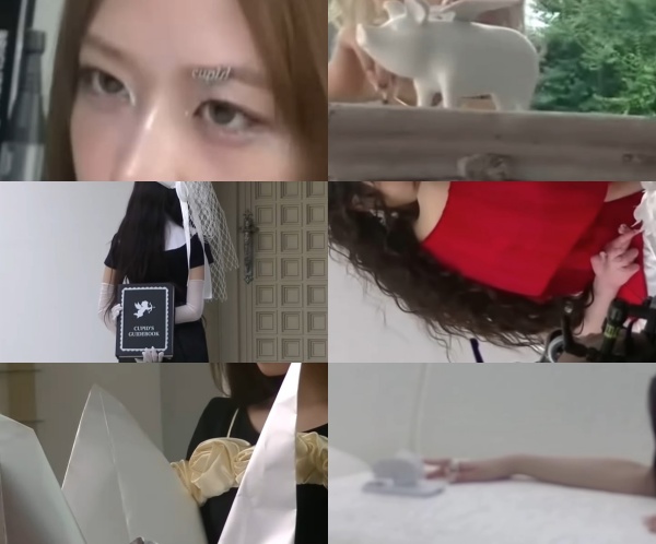 ̹