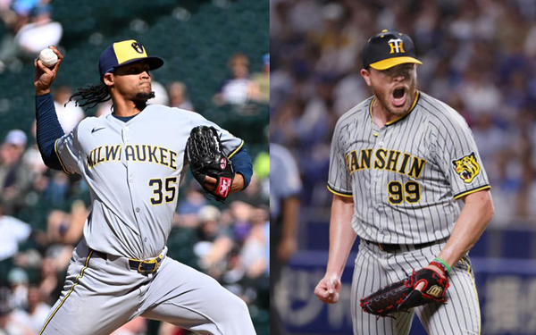 ��� �̹���