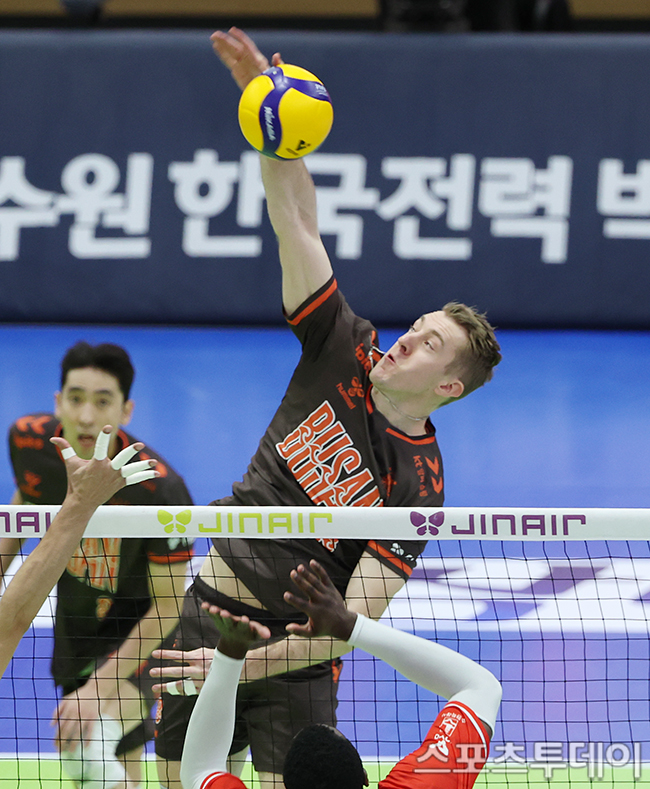 ��� �̹���