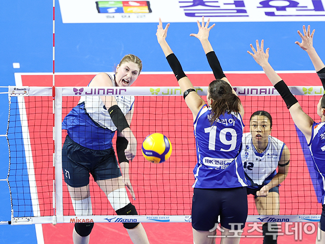 ��� �̹���