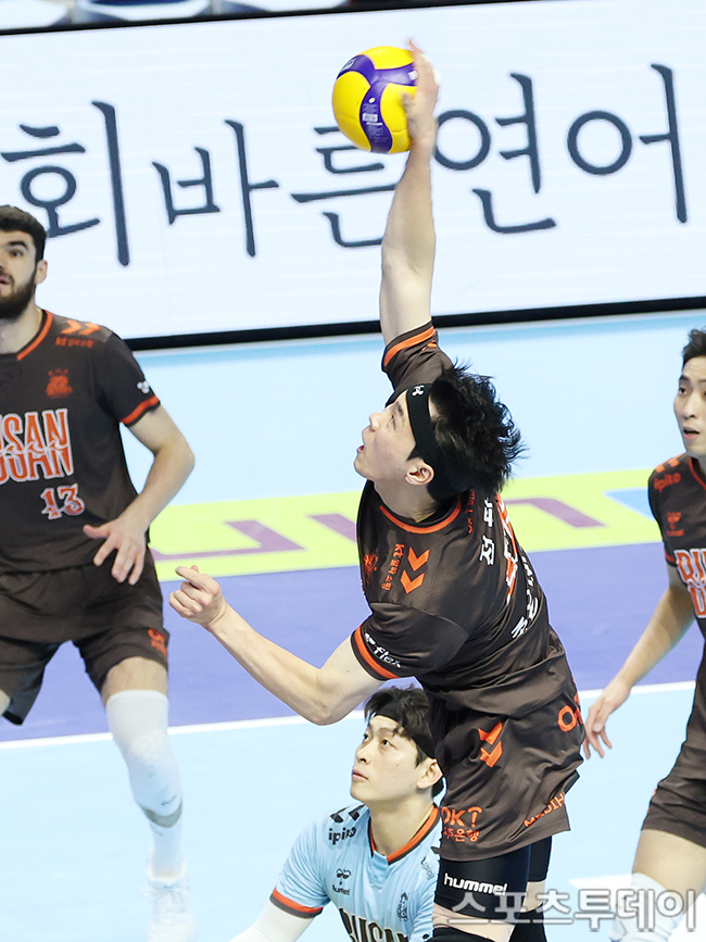 ��� �̹���