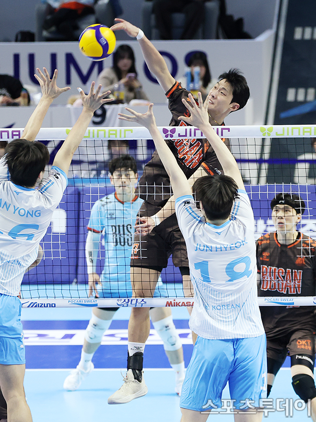 ��� �̹���