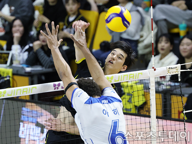 ��� �̹���