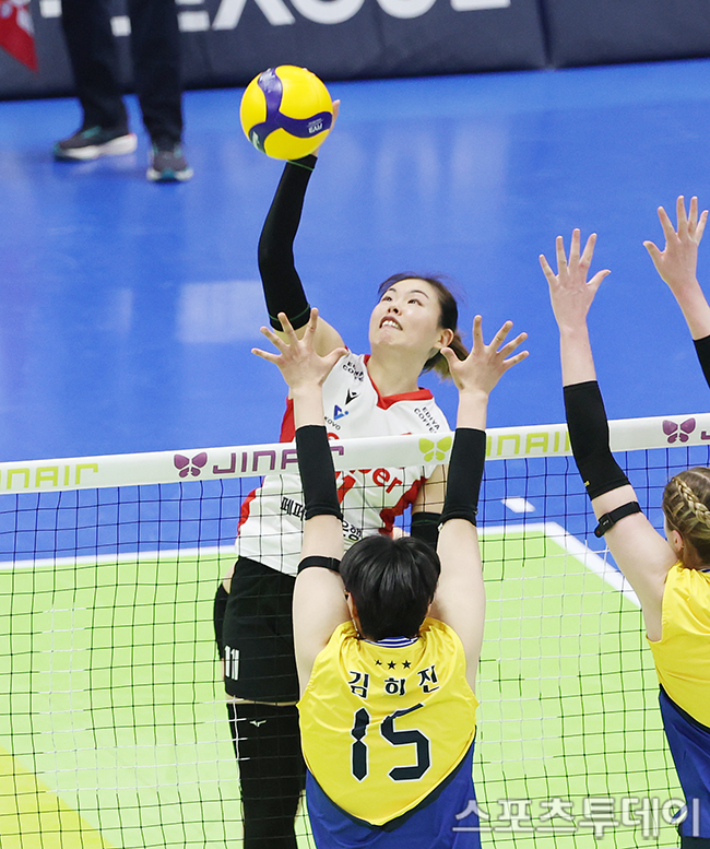 ��� �̹���