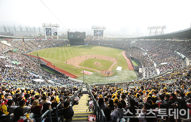 ��� �̹���