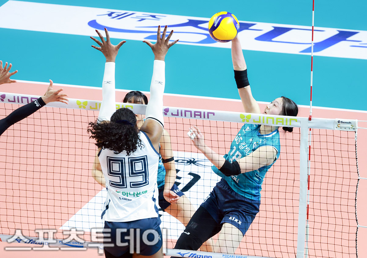 ��� �̹���