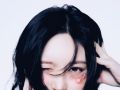  ̹
