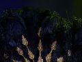 ��� �̹���