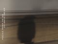  ̹