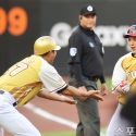 䴺