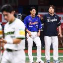 䴺