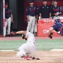 䴺