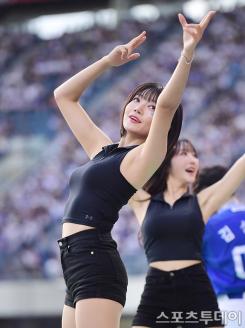 ̹