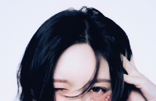 ̹