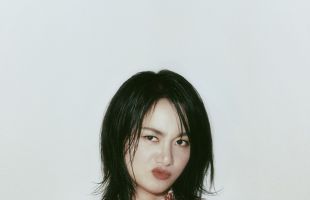 ̹