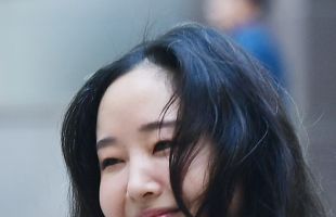 ̹