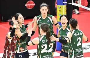 ����̹���