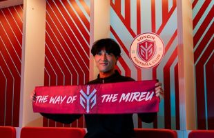 ����̹���