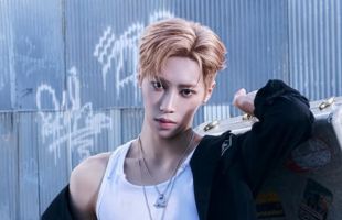 ����̹���