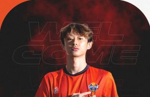 ����̹���