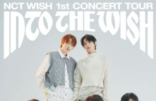 ����̹���