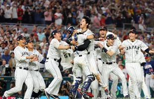 ����̹���