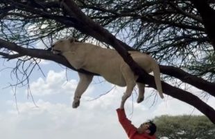 ����̹���