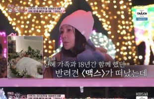 ����̹���