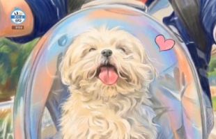 ����̹���