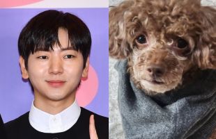 ����̹���