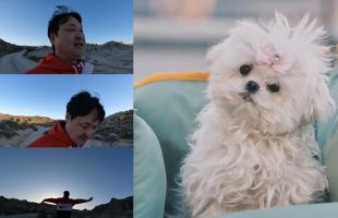 ����̹���