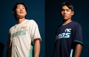 ����̹���