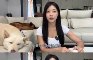 ����̹���