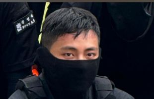 ̹